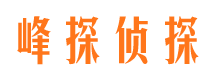 水城市婚姻调查